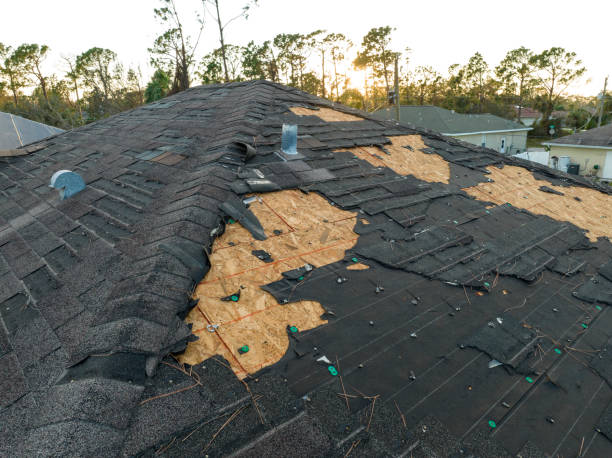 Best Roof Insulation Installation  in Pipestone, MN