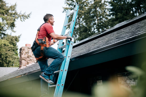 Best Green or Eco-Friendly Roofing Solutions  in Pipestone, MN